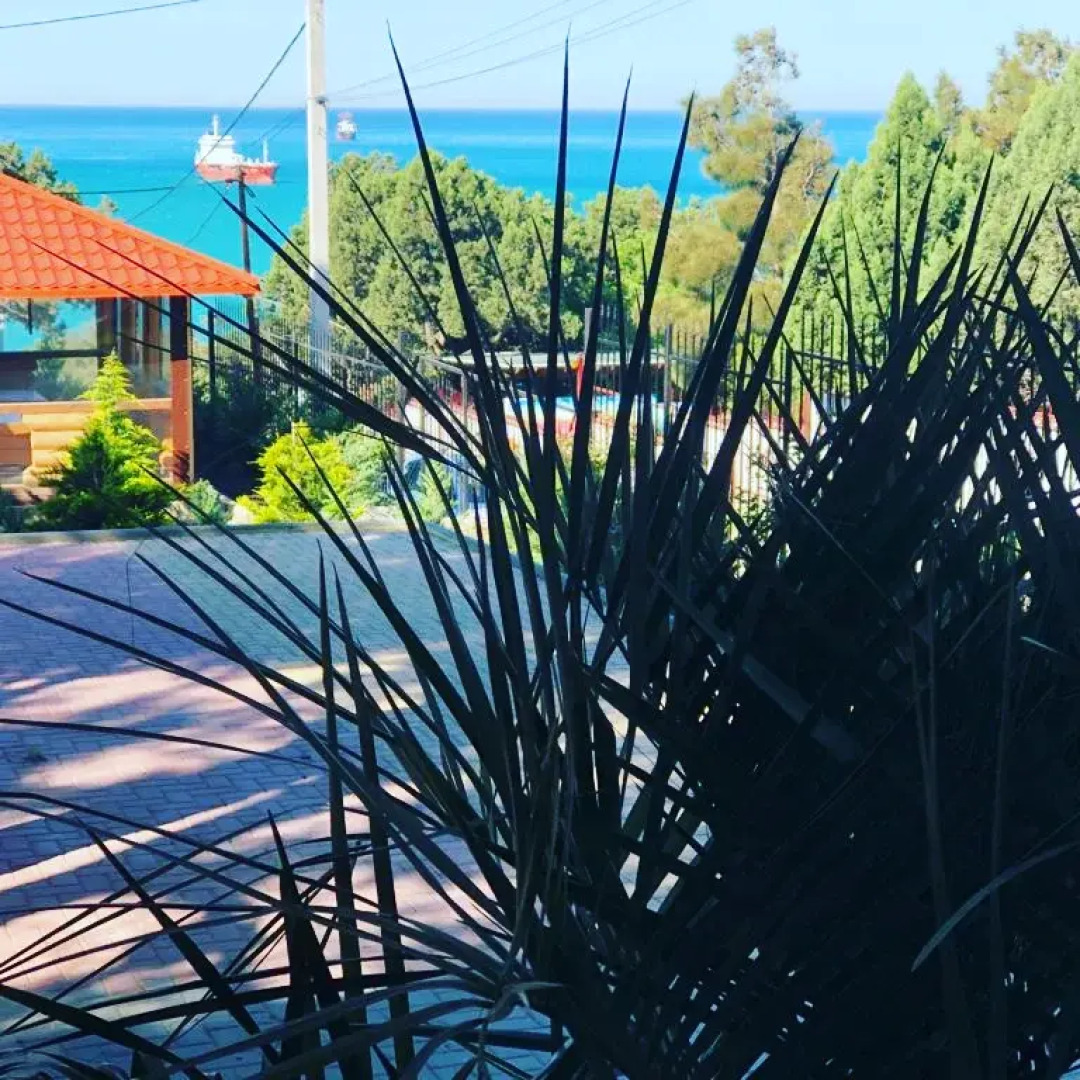 Отель Можжевеловый Парк