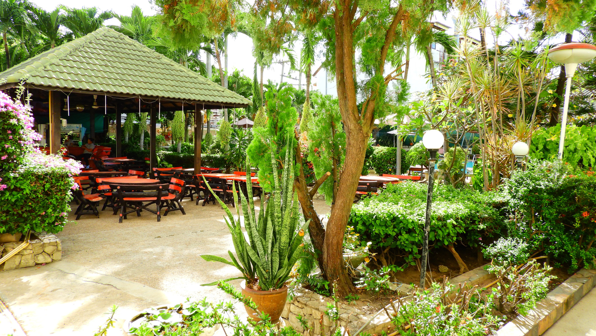 Отель Romeo Palace