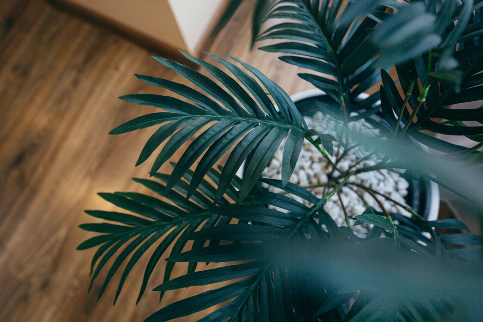 Апартаменты в 100 метрах от КОРОЛЕВСКИХ ВОРОТ КЁНИГСБЕРГА.