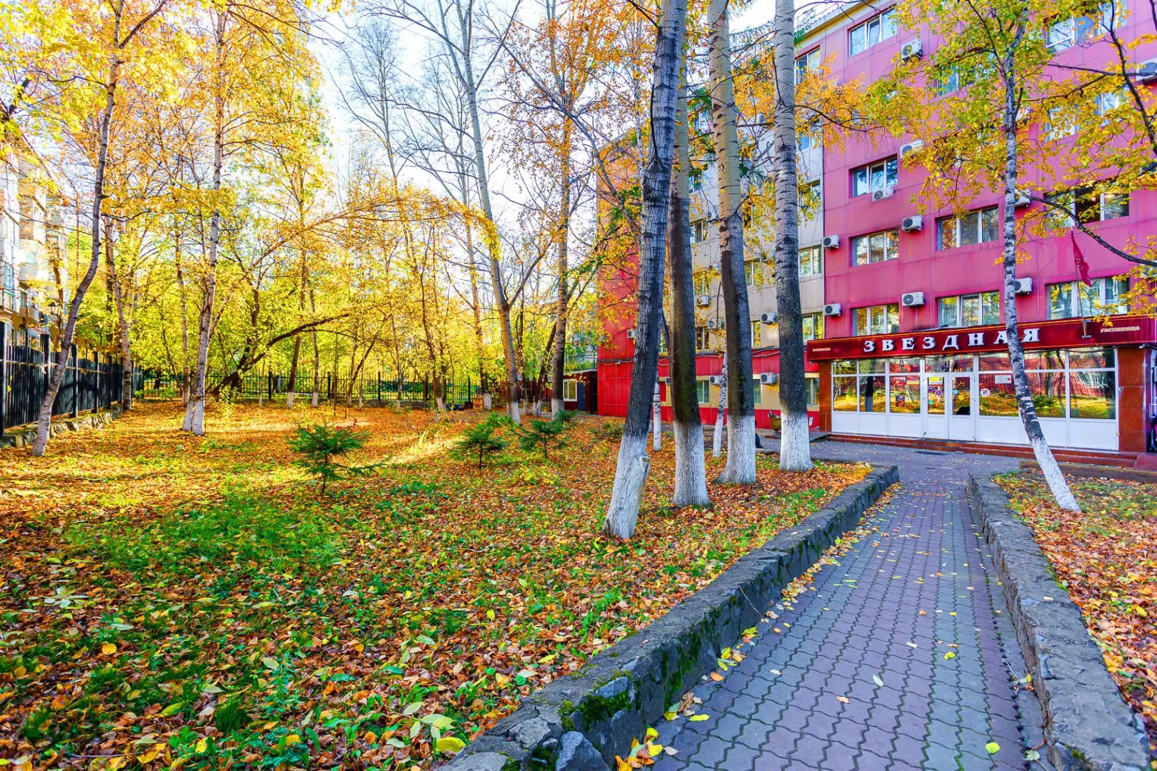 Отель Звёздная