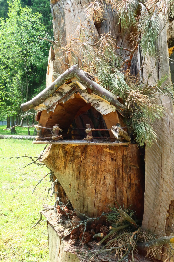 Мини-отель Дача