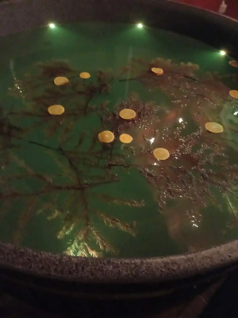 Гостевой дом Лесное Патио