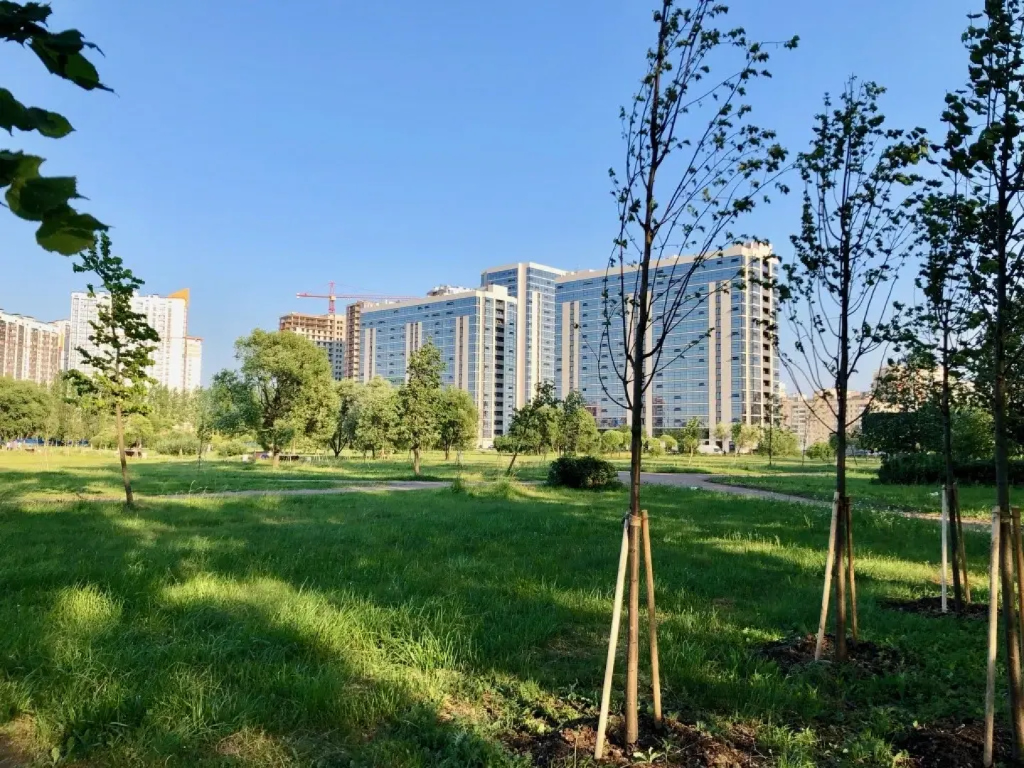 Апартаменты a.m. Rooms Pulkovo Park Deluxe