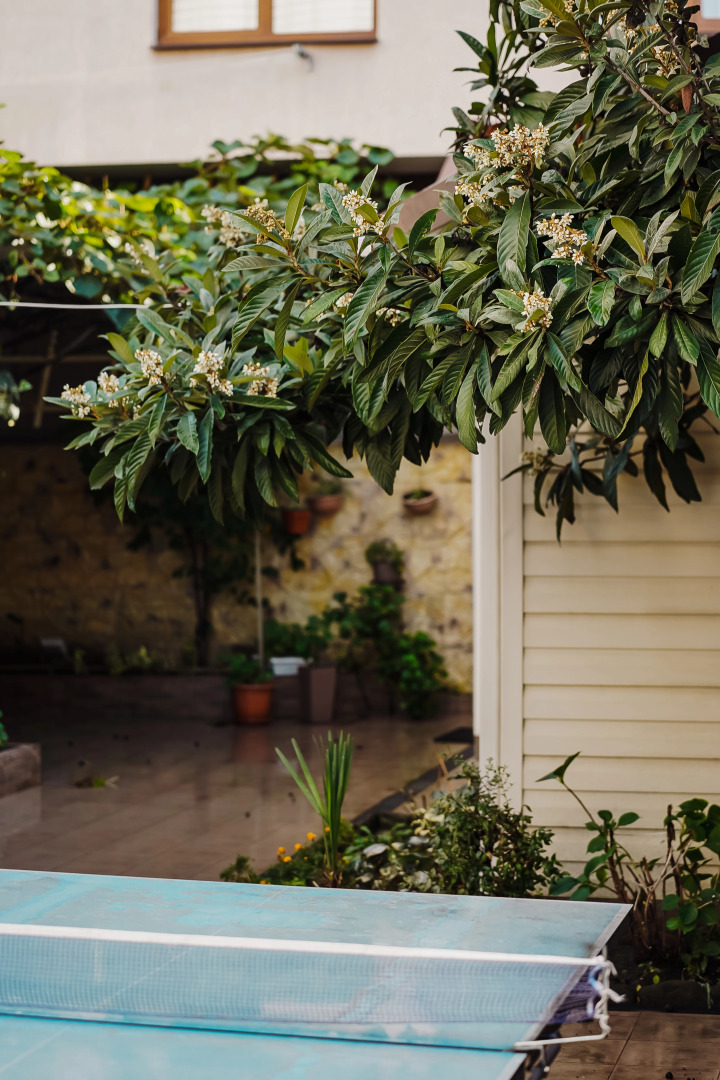 Гостевой дом Мзымта