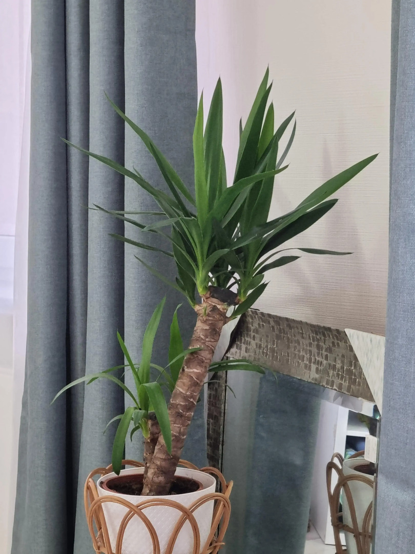 Апартаменты на Рабочей с видом на море