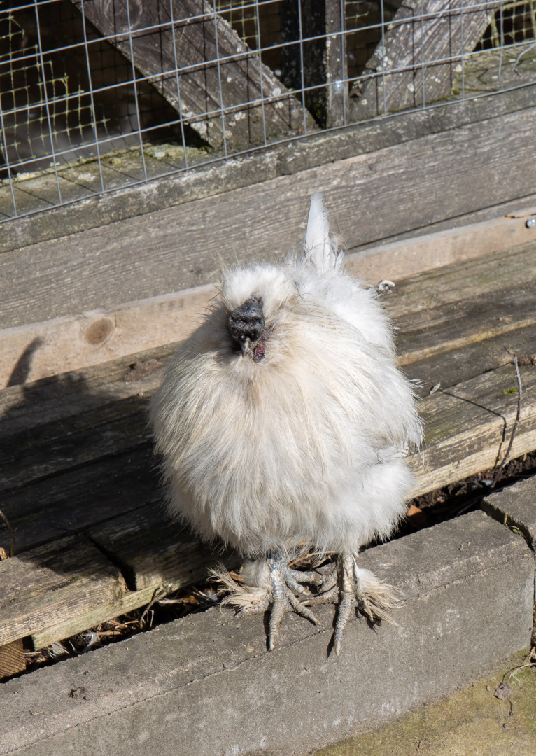 База отдыха Деревня Зюзино