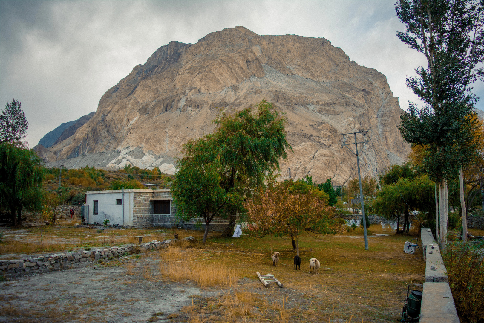 Отель Shisper View