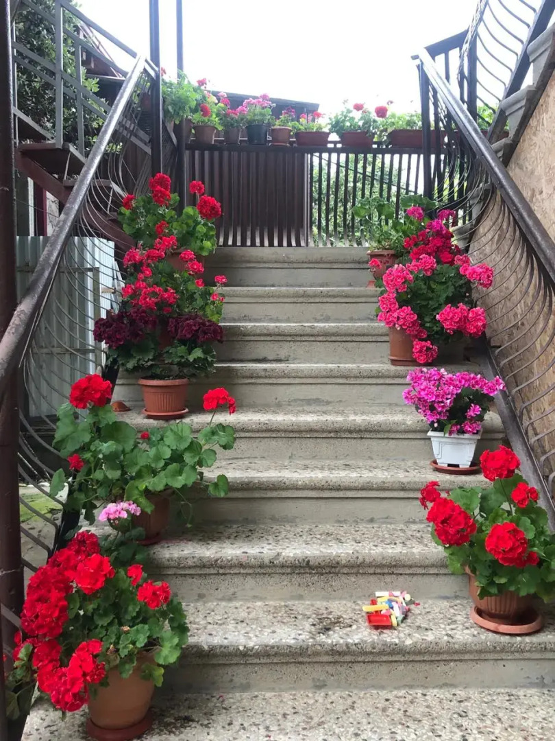 Гостевой дом Соломон