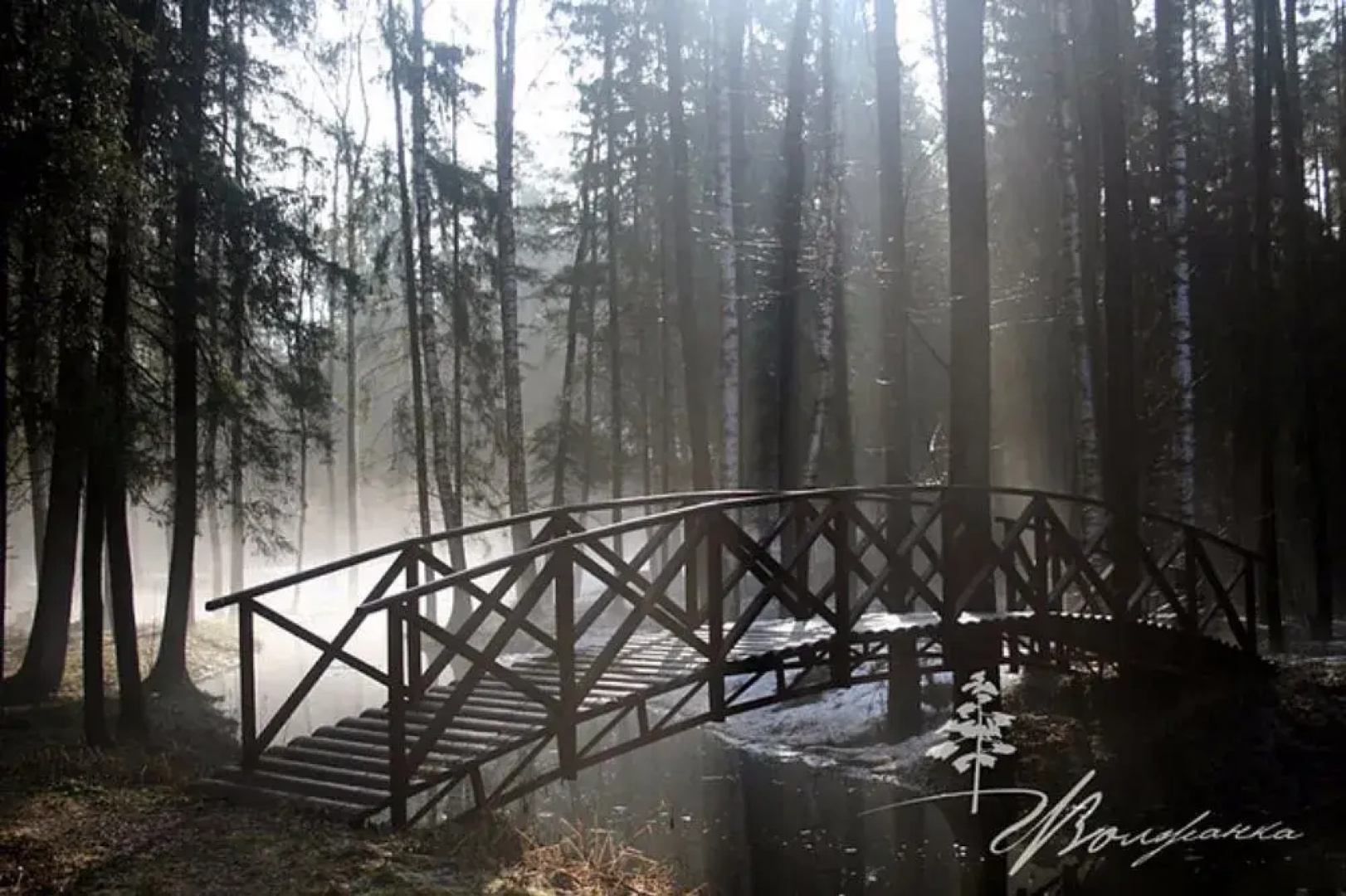 Отель Загородный комплекс  Волжанка