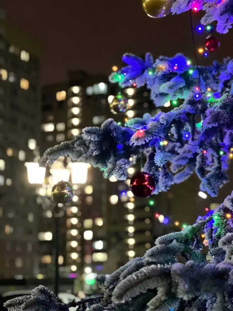 Квартира ЖК Мед house