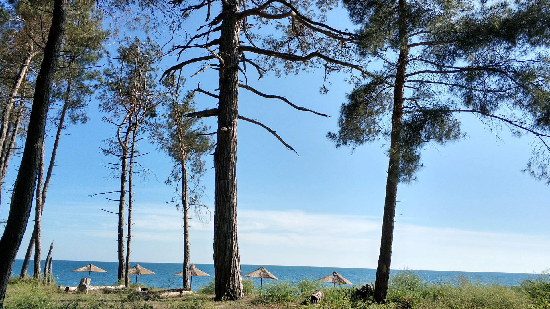 База Отдыха Лукоморье