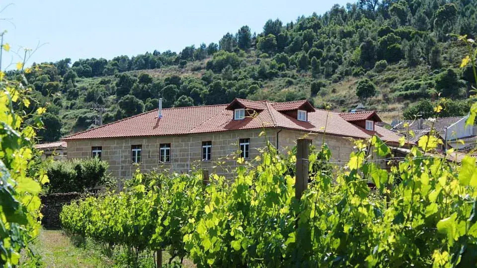 Мини-Отель Casa Grande do Seixo