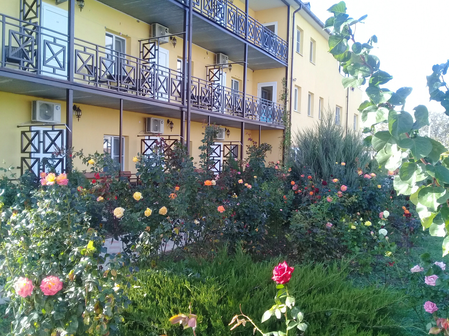 Мини-Отель Добрый Бобр