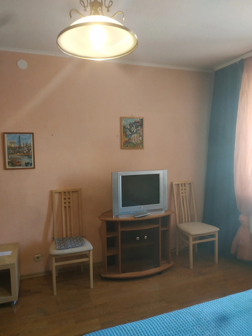 Квартира Большая однушка на пр. Ленина