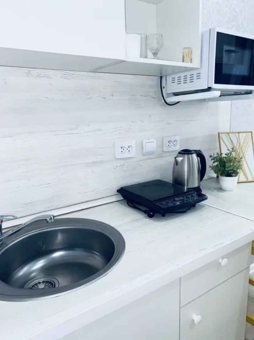 Студия Лимон возле парка и лебединого озера