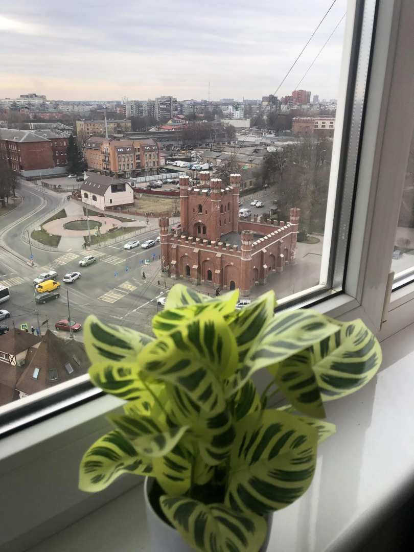 Апартаменты с Видом на Королевские Ворота