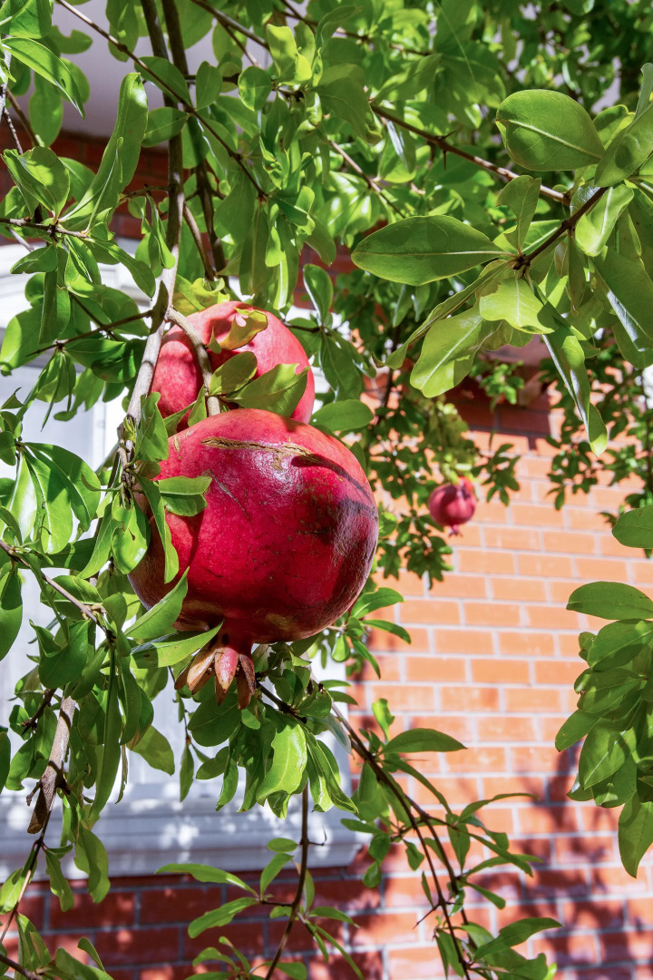 Гостевой дом Малахит Плюс