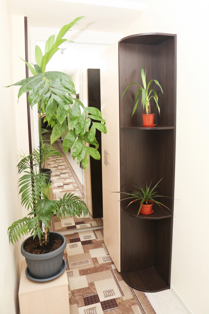 Отель Олимп