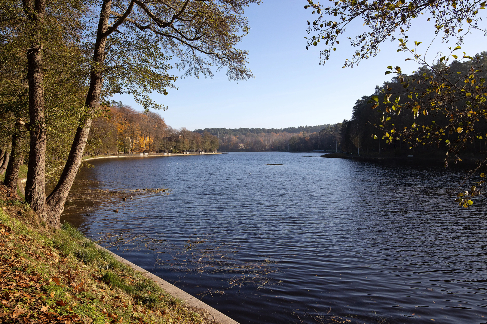 Апартаменты Rauschen by Pavlov