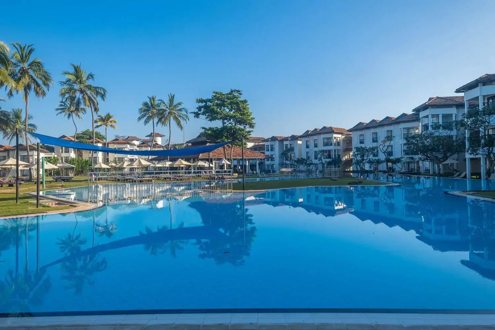 Отель Club Hotel Dolphin