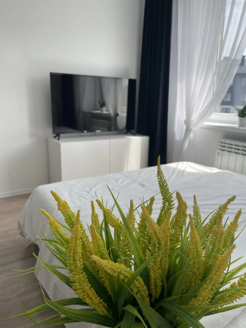 Апартаменты у моря Зеленоградск