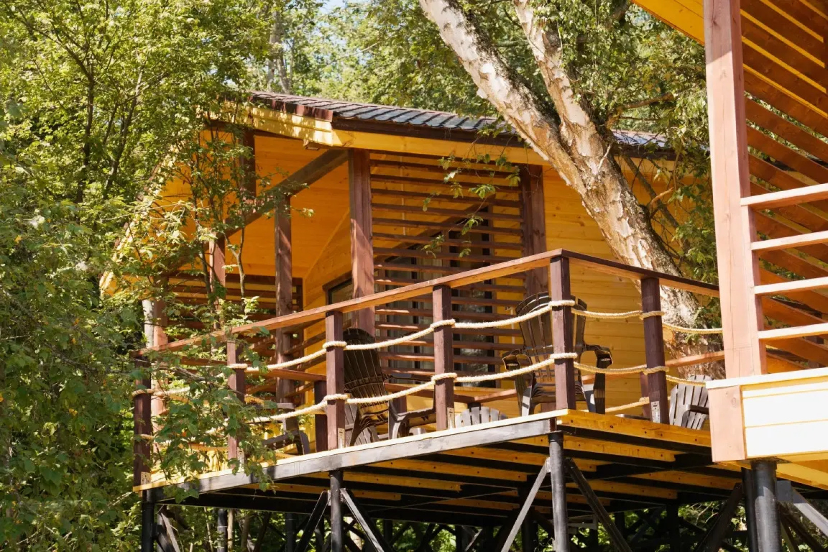 Частный дом Веселые гуси 1