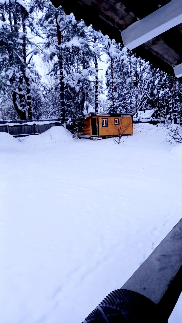 Дом у сосен