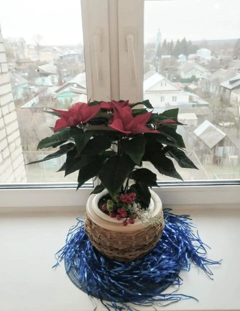 Квартира Семейная у ж/д станции Коломна