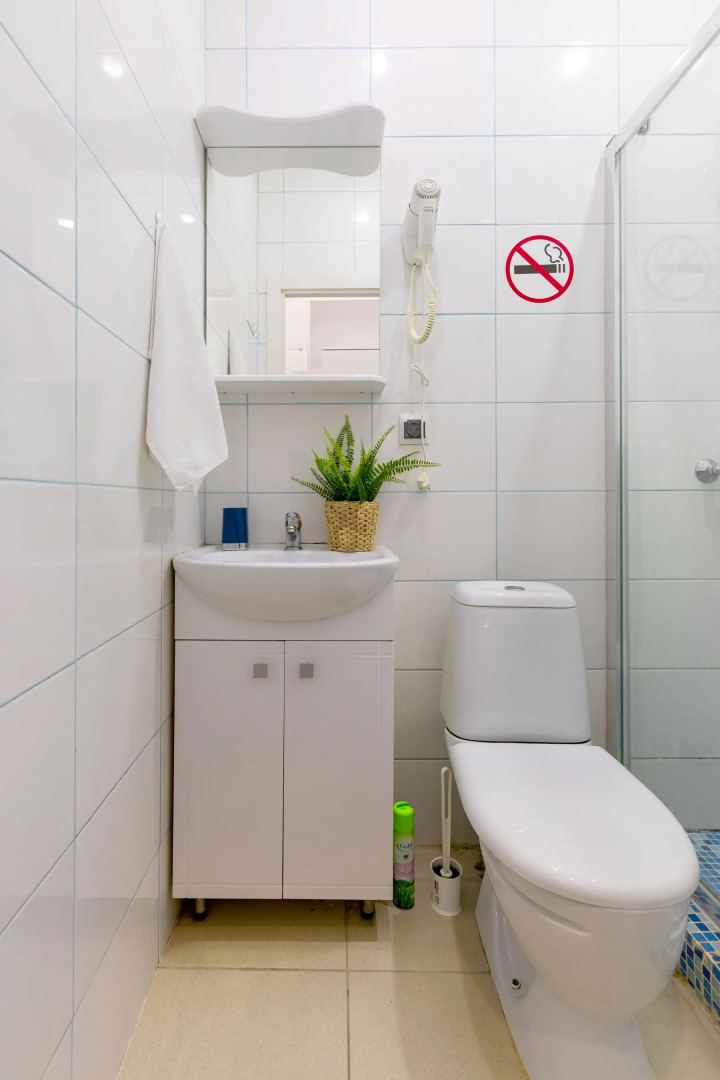 Апартаменты Гости Любят на Владимирской