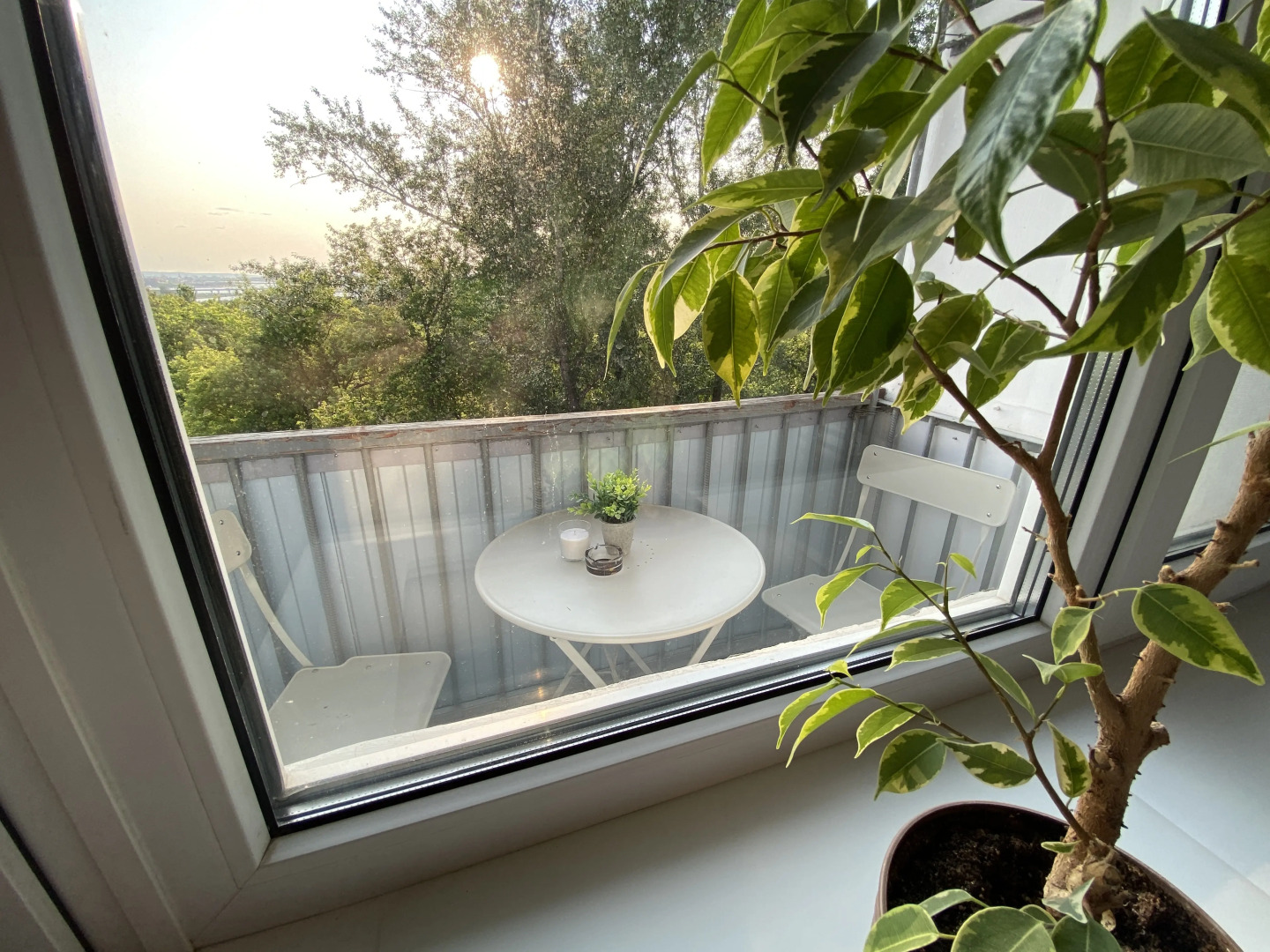 Апартаменты Дружба