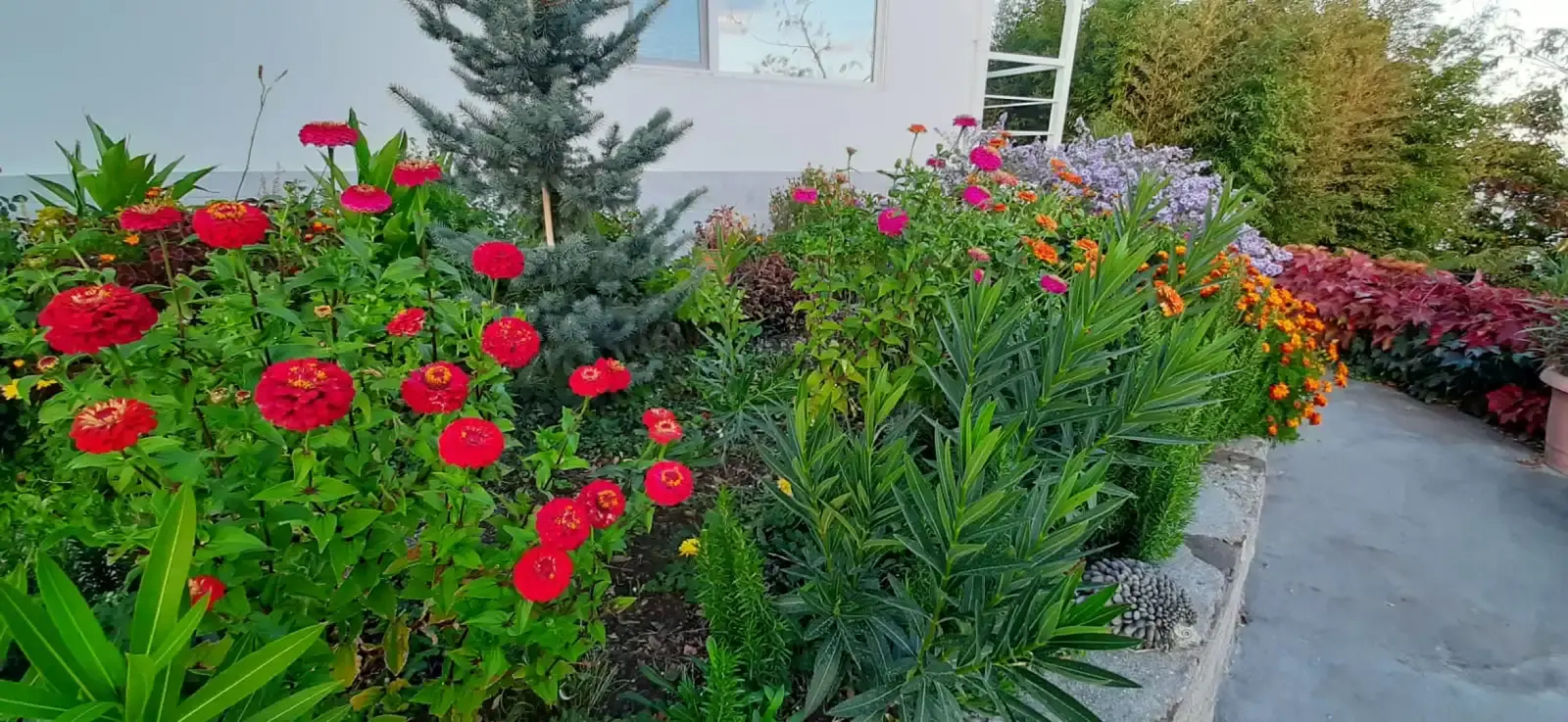 Гостевой дом Sun Hill