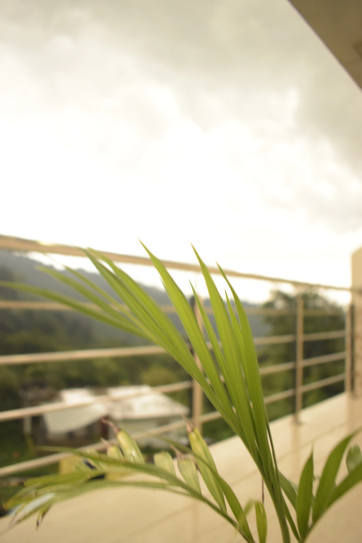 Отель Nature S View