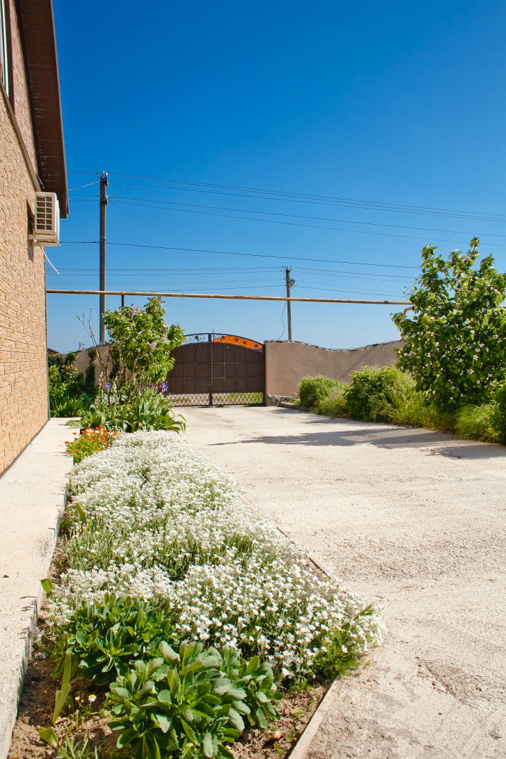 Гостевой дом Ленивый Дельфин