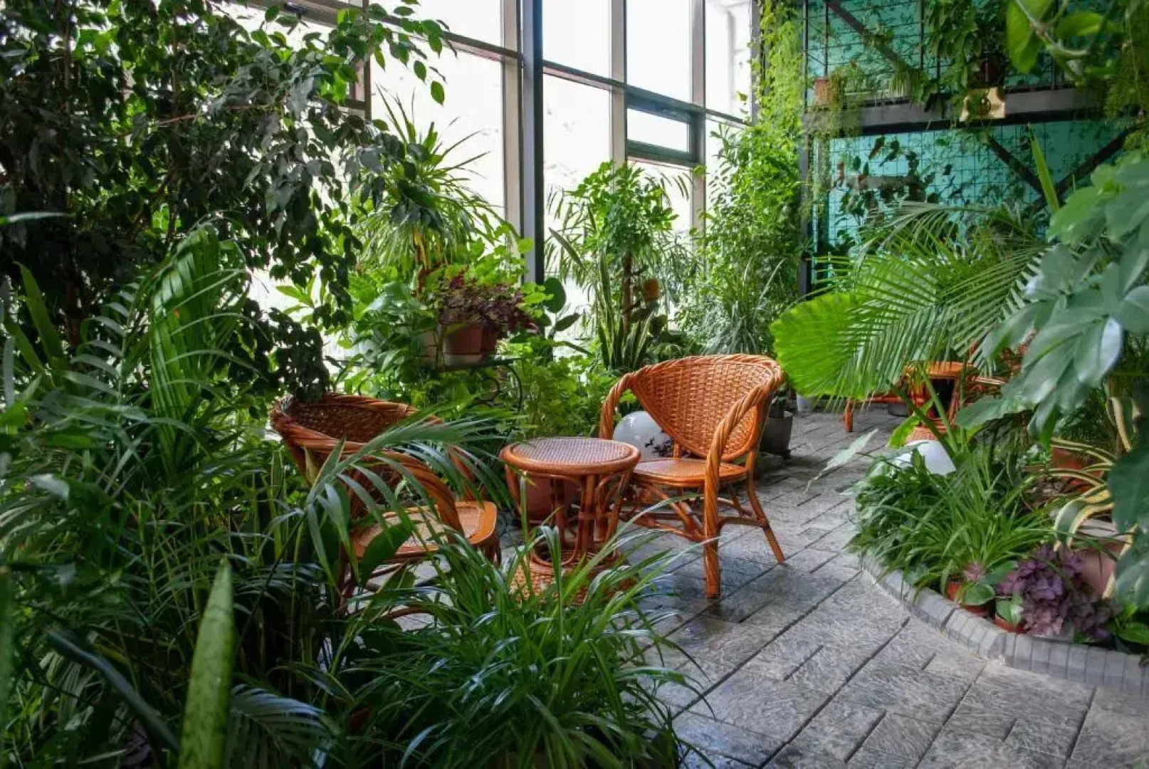 Отель Jannat Resort