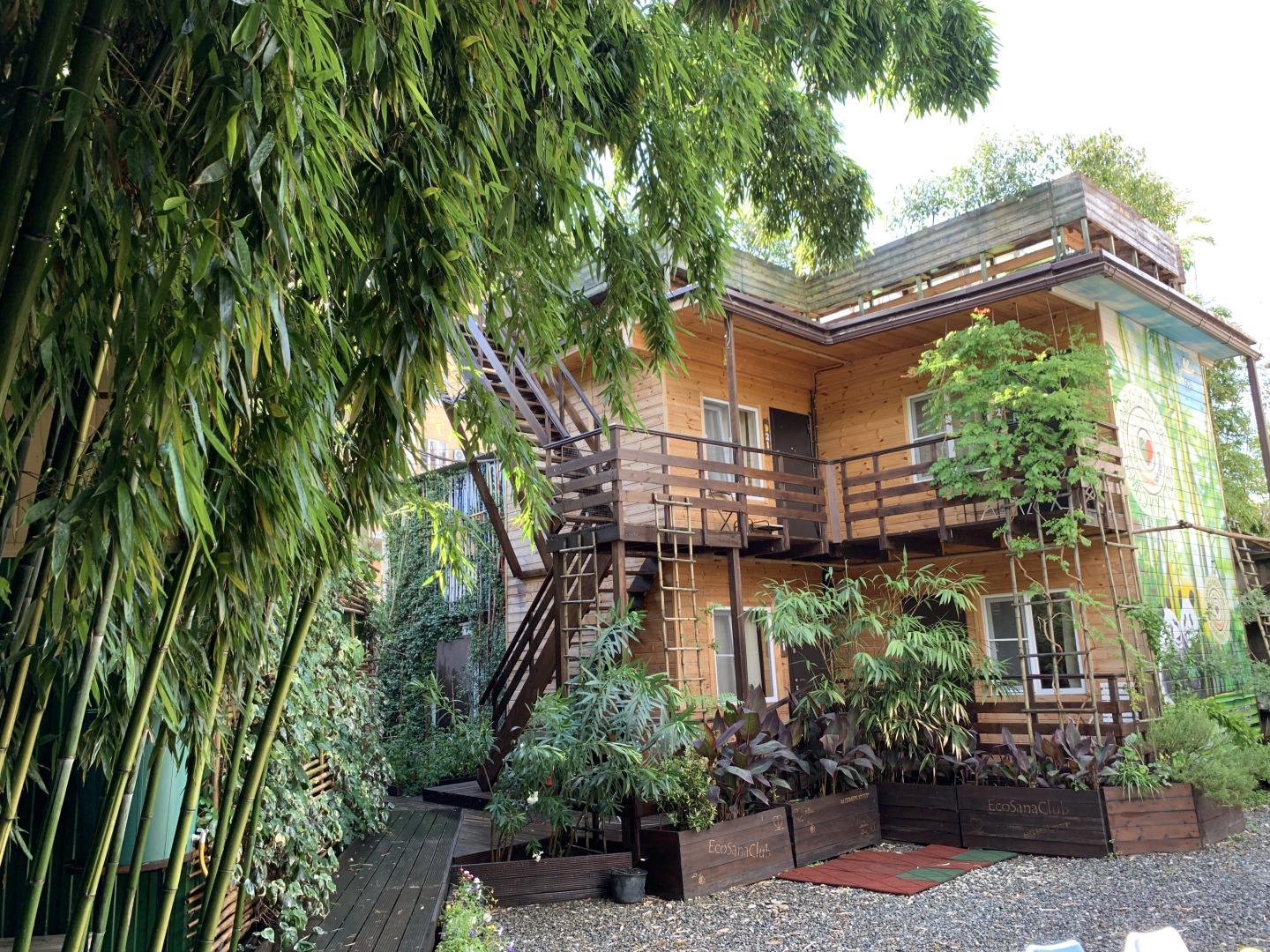 Гостевой Дом Бамбук-Хутор