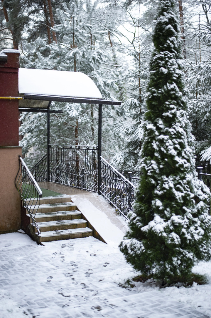 Апартаменты Светогор