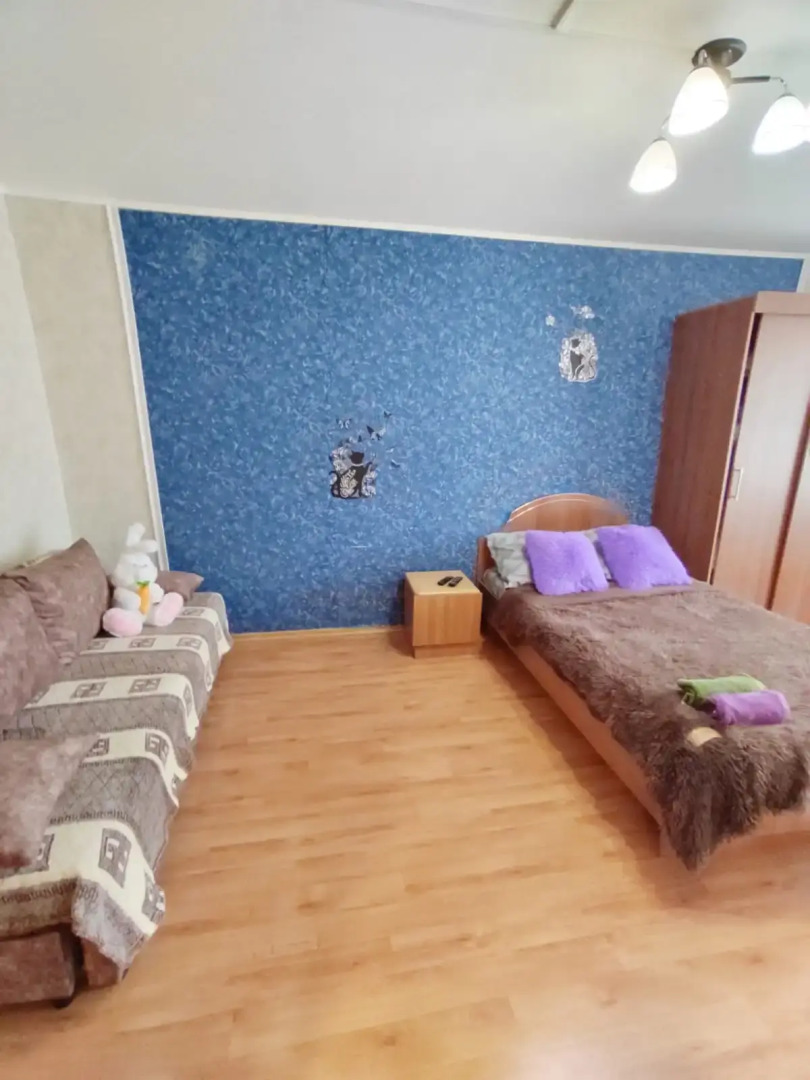 Однокомнатная  квартира на проспекте Победы