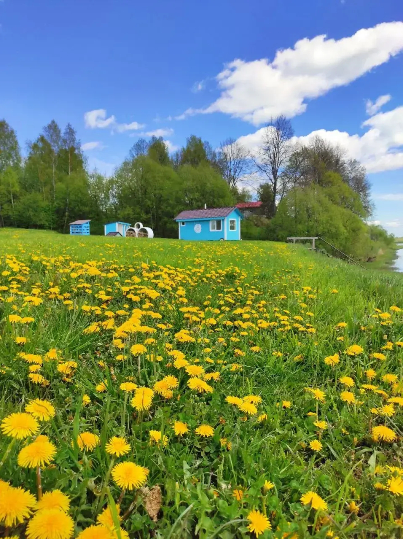 Частный дом Радха