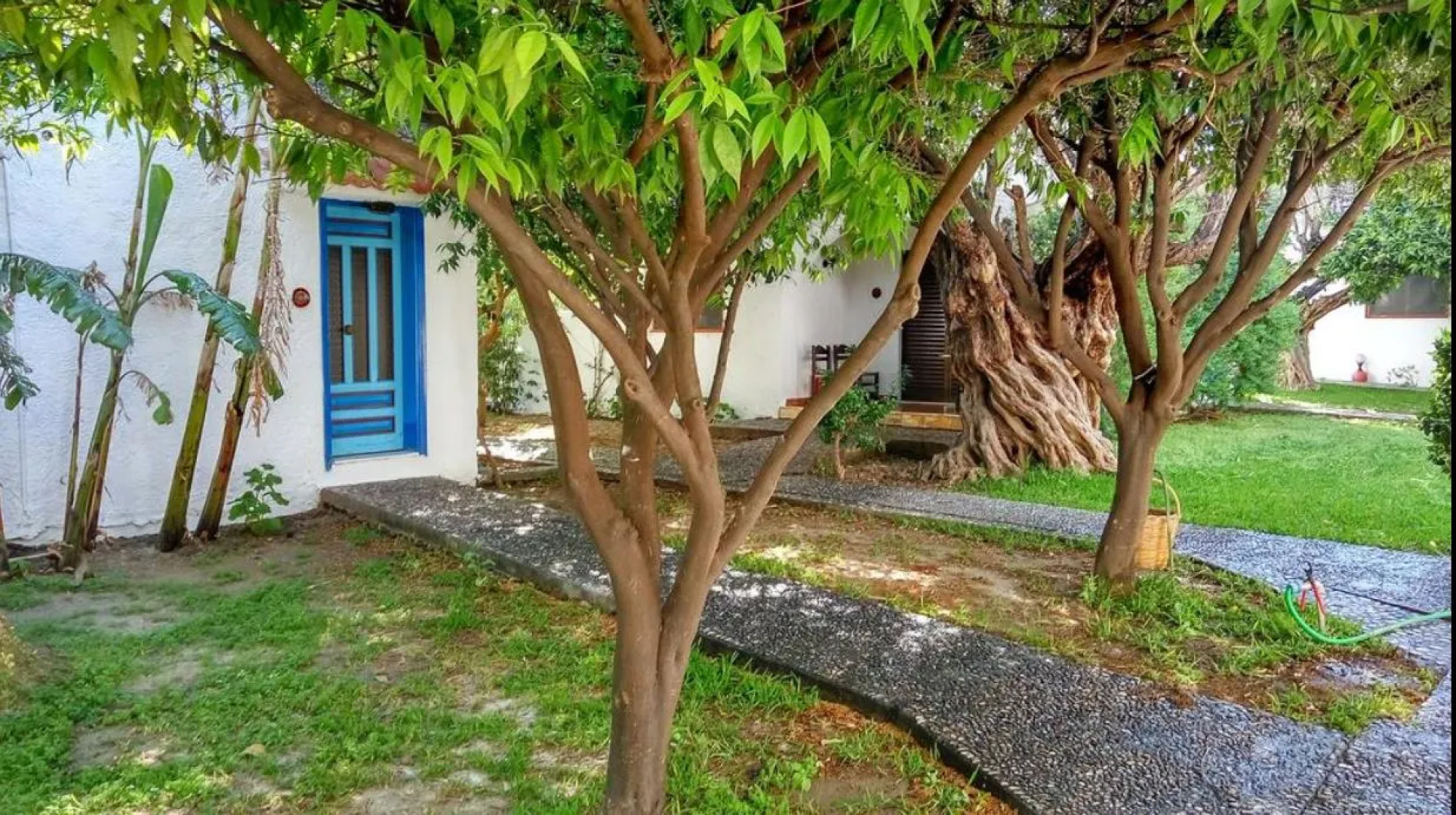 Отель Oasis Hotel Bungalows Rodos - All Inclusive