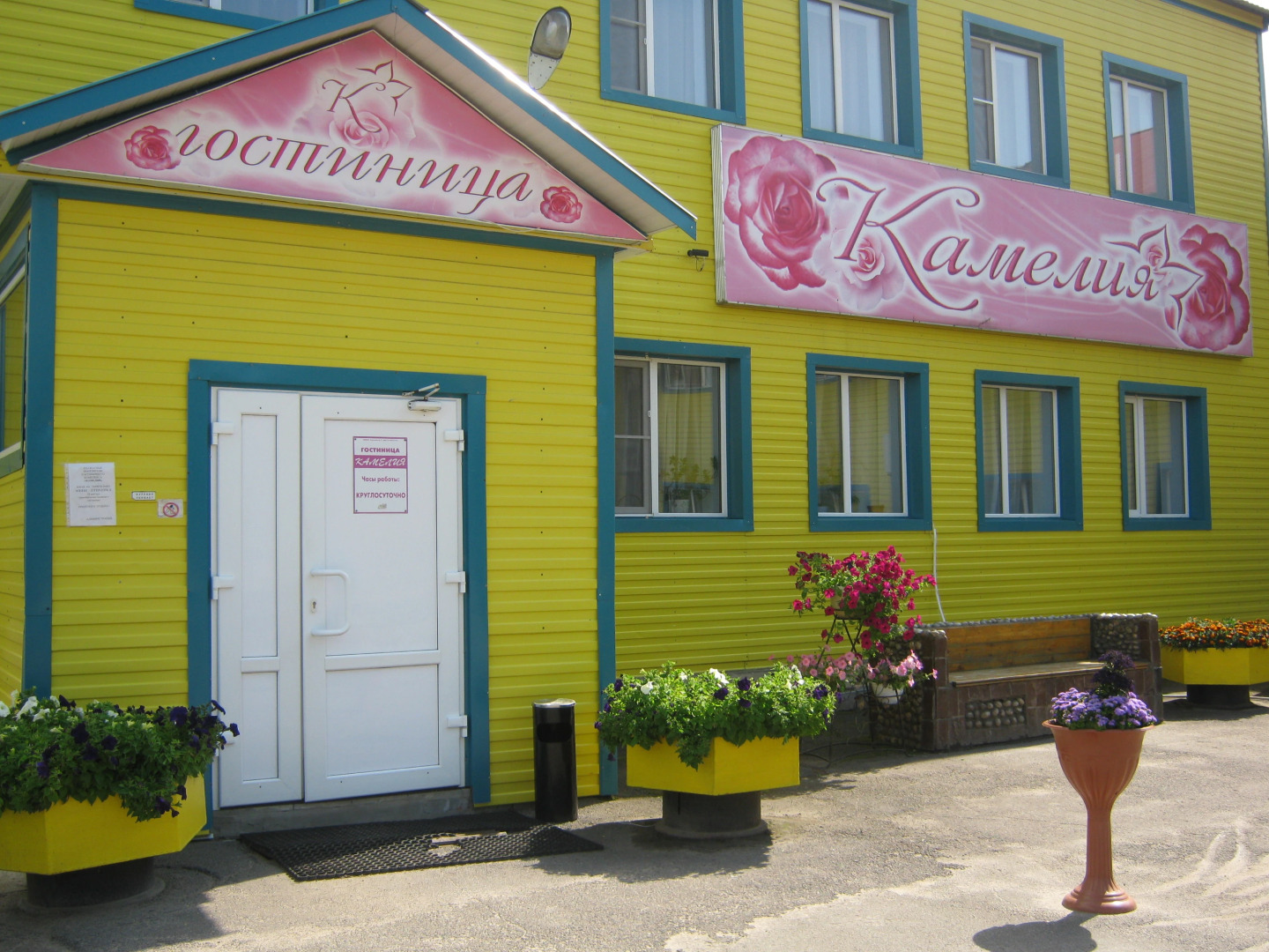 Отель Камелия