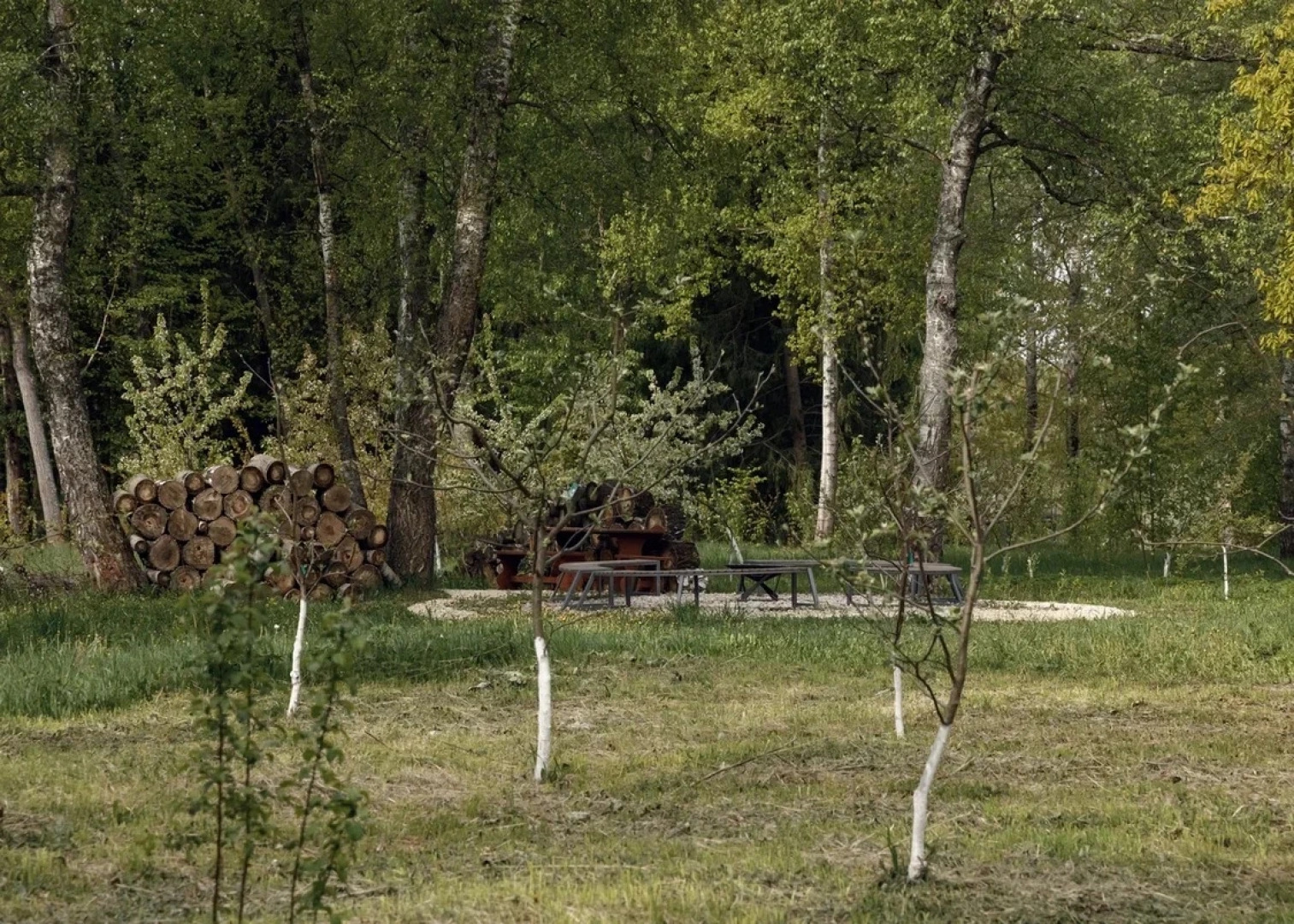 Отель Чехов Апи