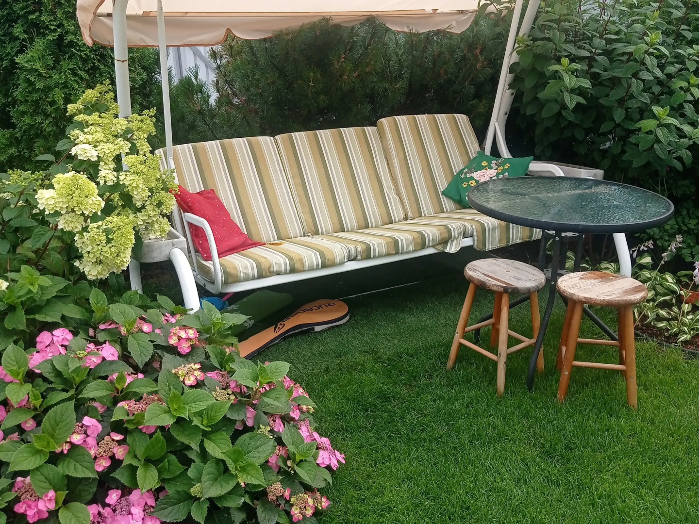 Апартаменты в Петергофе