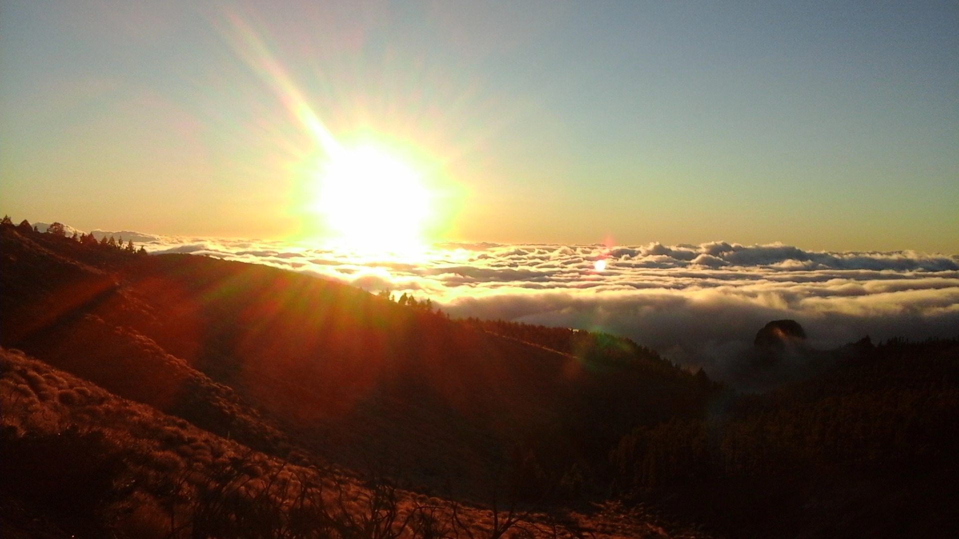 Rents In Canary Guest house