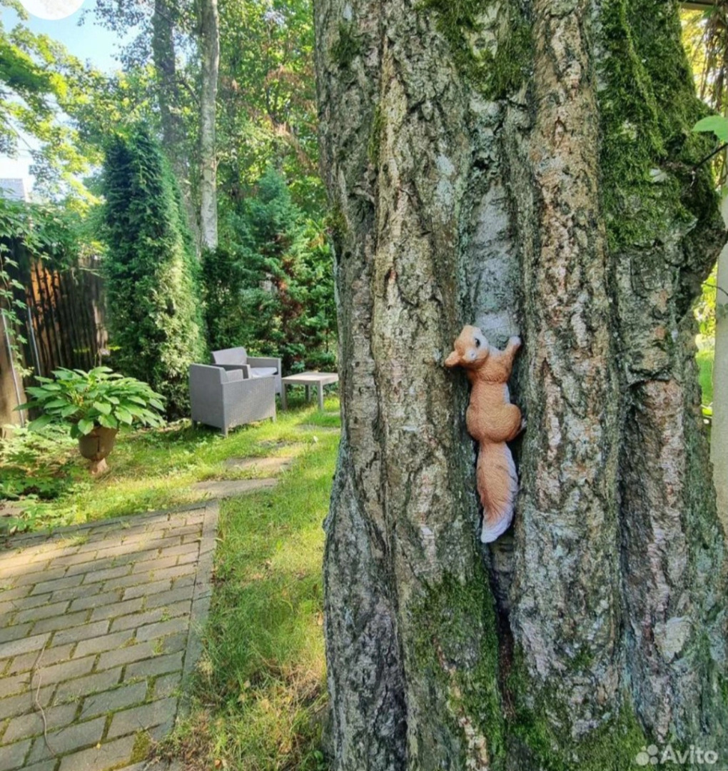 Квартира Апартаменты Амбер в Самом Центре с Отдельным Входом 1