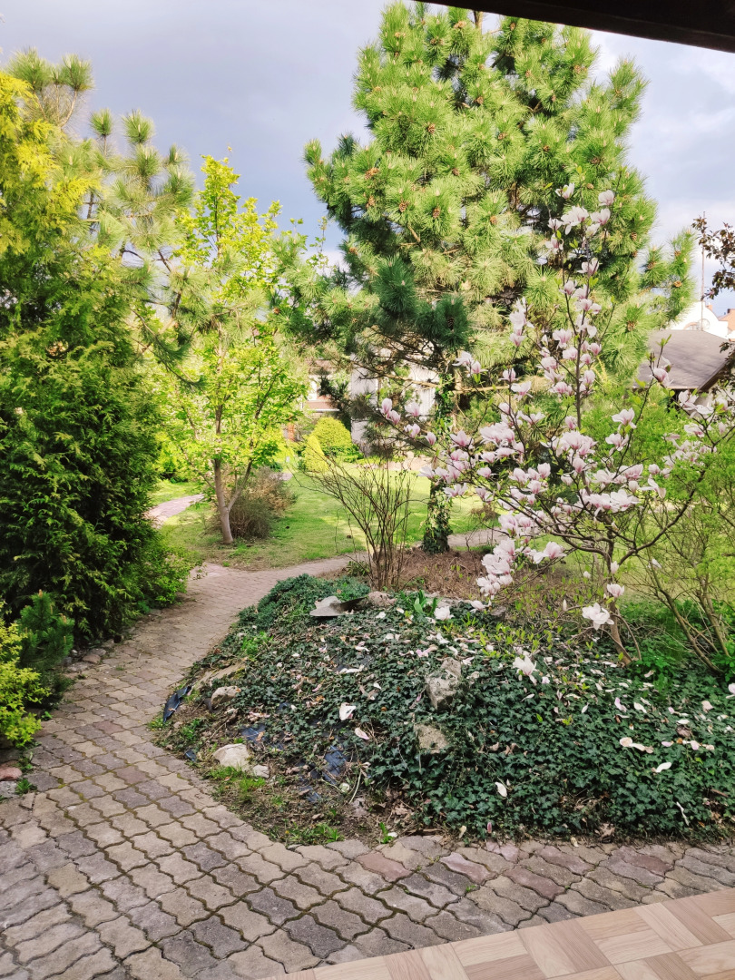 Апартаменты Деревенский дом у моря