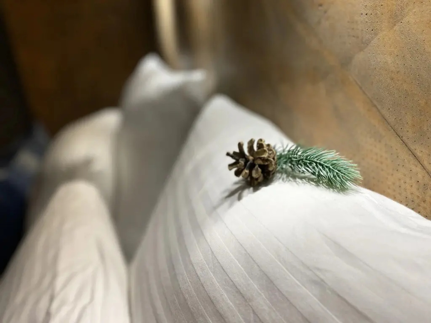 Студия на Бабушкинской