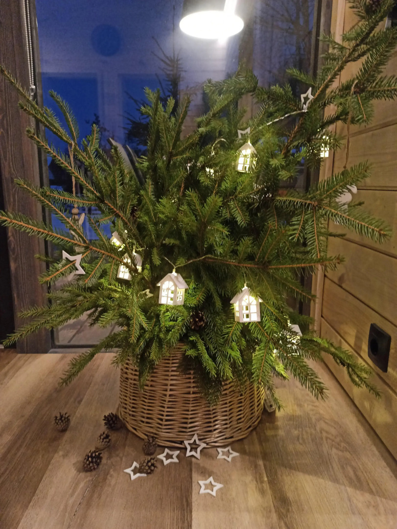 Частный дом Iris House