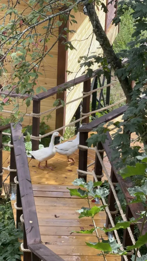 Частный дом Веселые гуси 1