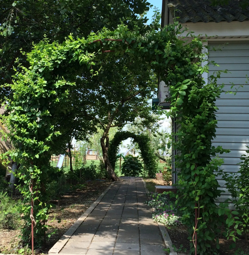 База Отдыха Коронелли