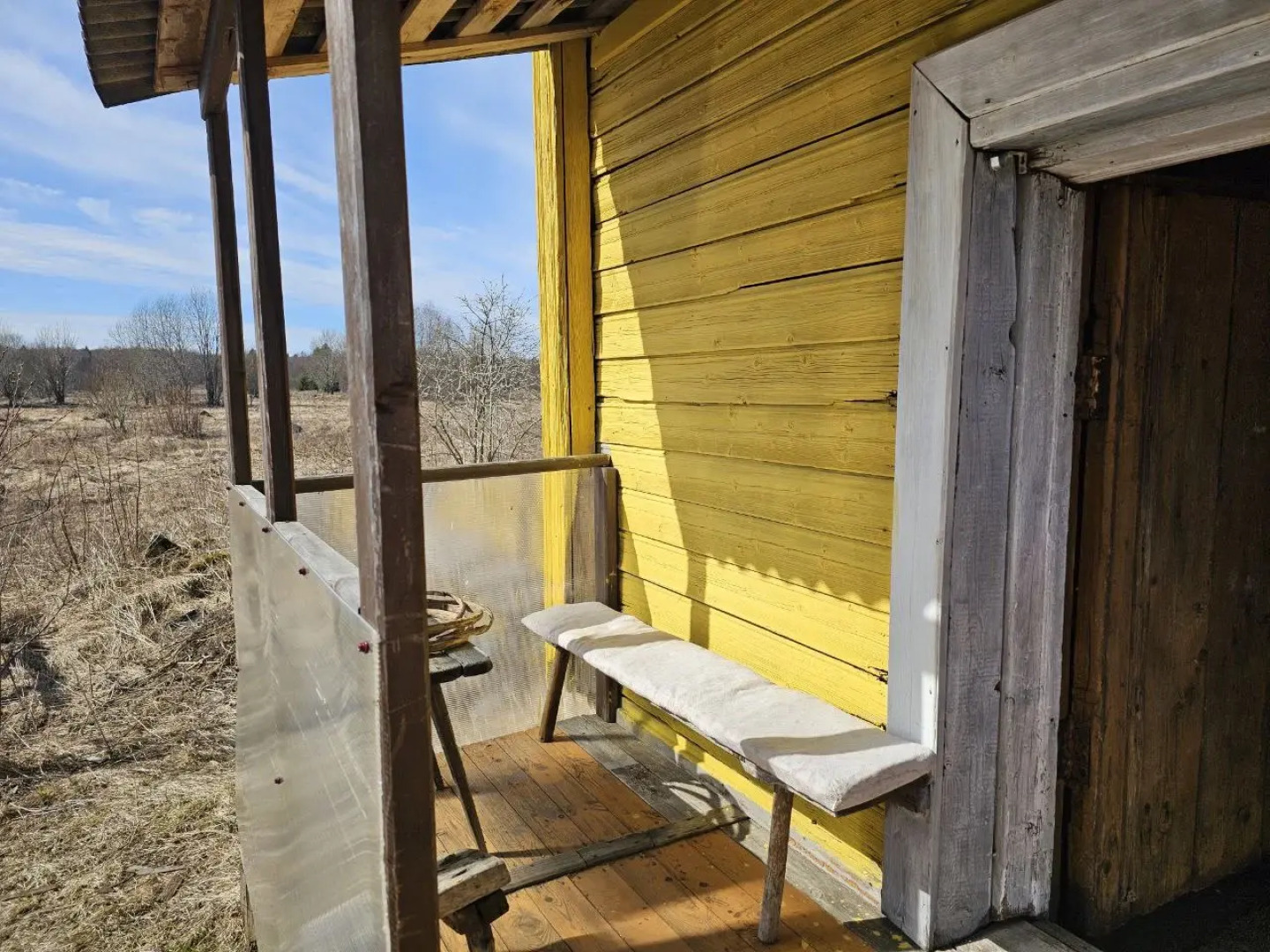 Частный дом Федосовых комната под елкой